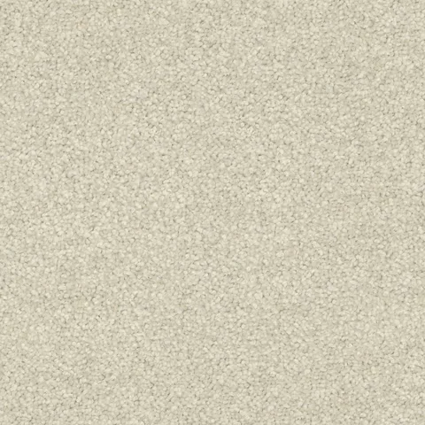 Biscotti carpet swatch